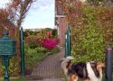 Foto van de tuin van Harry en Tineke van der Rijdt