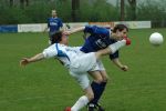 Heeswijk-boskant_01