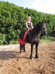 111029_Anders_met_paarden2