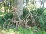 110131fiets3