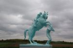 thumb_120509-phe-13Hectare__15