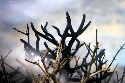 thumb 130512_AvA_HaDee_FC_Bernheze_Kersouwe