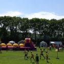 IMG 4331_Medium