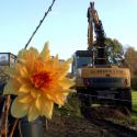 thumb 141208_HaDee_volkstuin_fotograaf_Ad_van_Asseldonk12