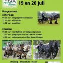 Power Horse_Competition_Heeswijk