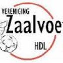 Logo zvv_hdl